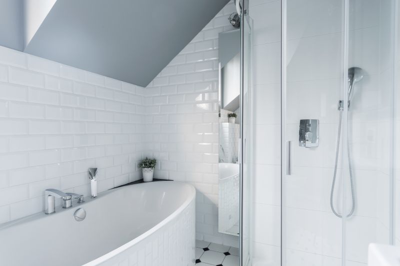 Elegant Bathtub and Shower Combo